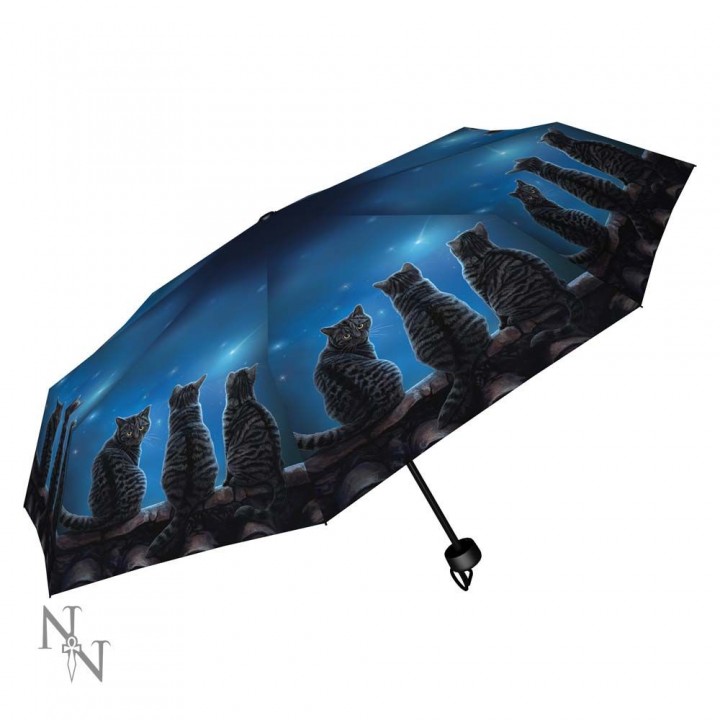 Wish Upon a Star Umbrella