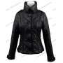 Jacket womens