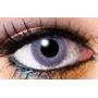 Lenses one tone violet