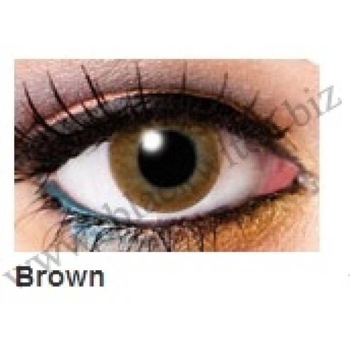 One tone lenses Brown