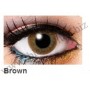 One tone lenses Brown