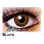 Three tones lenses Brown