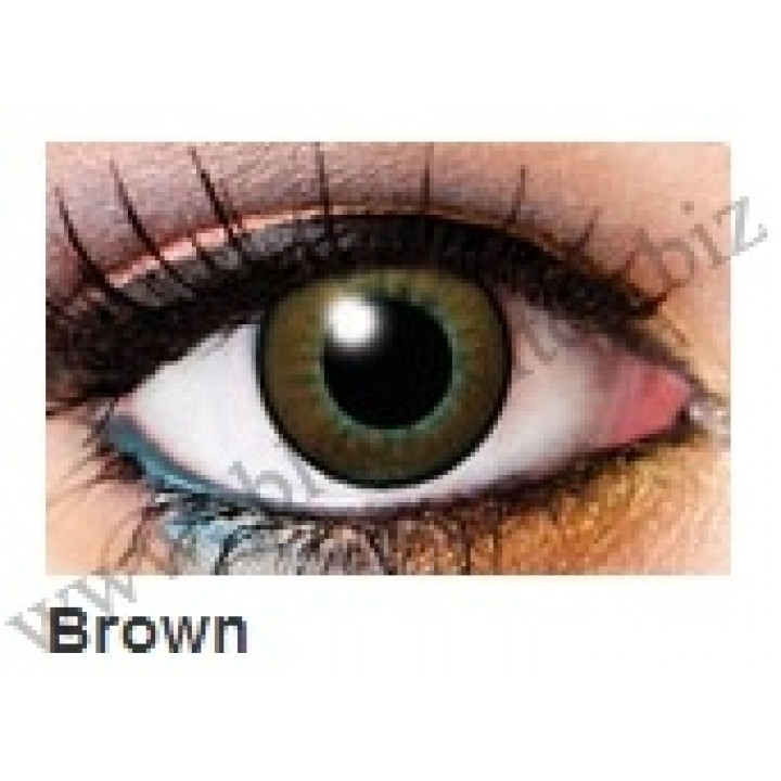 Two tone lenses Brown