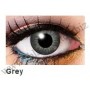 Two tone lenses Gray