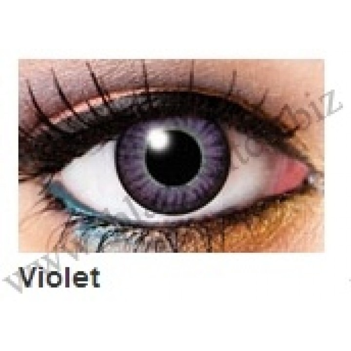 Two tone lenses Violet
