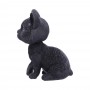 Bob Cat 16.5cm 13.5*9*16.5cm